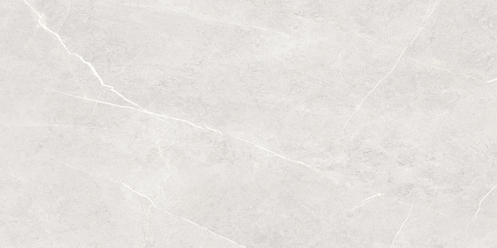 portfolio item photo